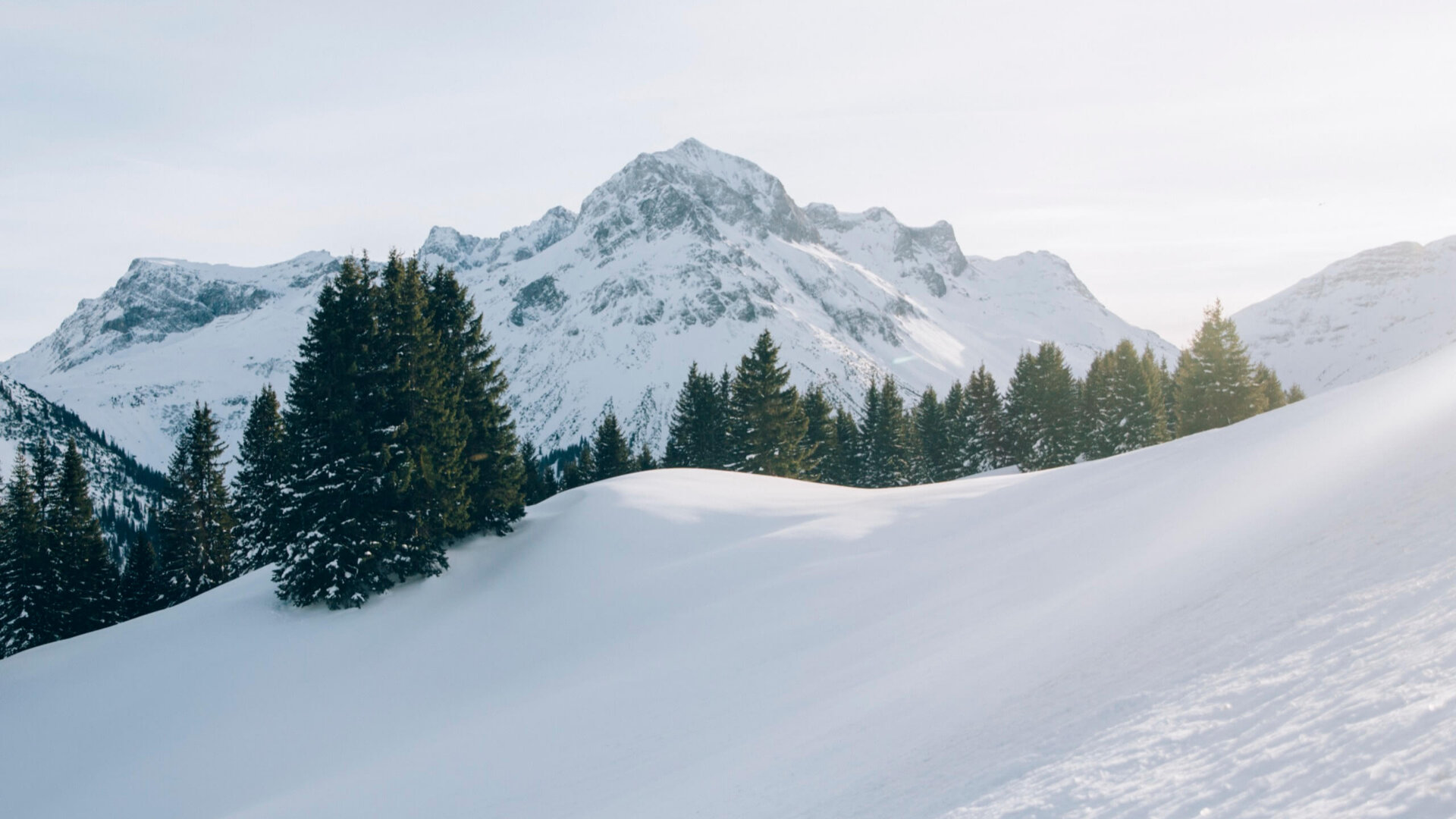 Schneebedeckte Berge und Tannen im Winter in Lech/Zürs am Arlberg, perfekte Kulisse für das Hotel Edelweiss.