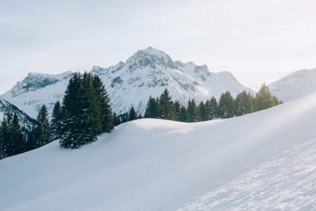 Schneebedeckte Berge und Tannen im Winter in Lech/Zürs am Arlberg, perfekte Kulisse für das Hotel Edelweiss.