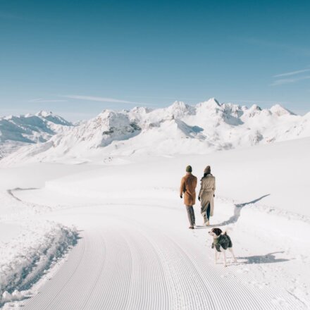 Paar und ein Hund spazieren durch eine verschneite Landschaft in Lech/Zürs mit beeindruckendem Bergpanorama.