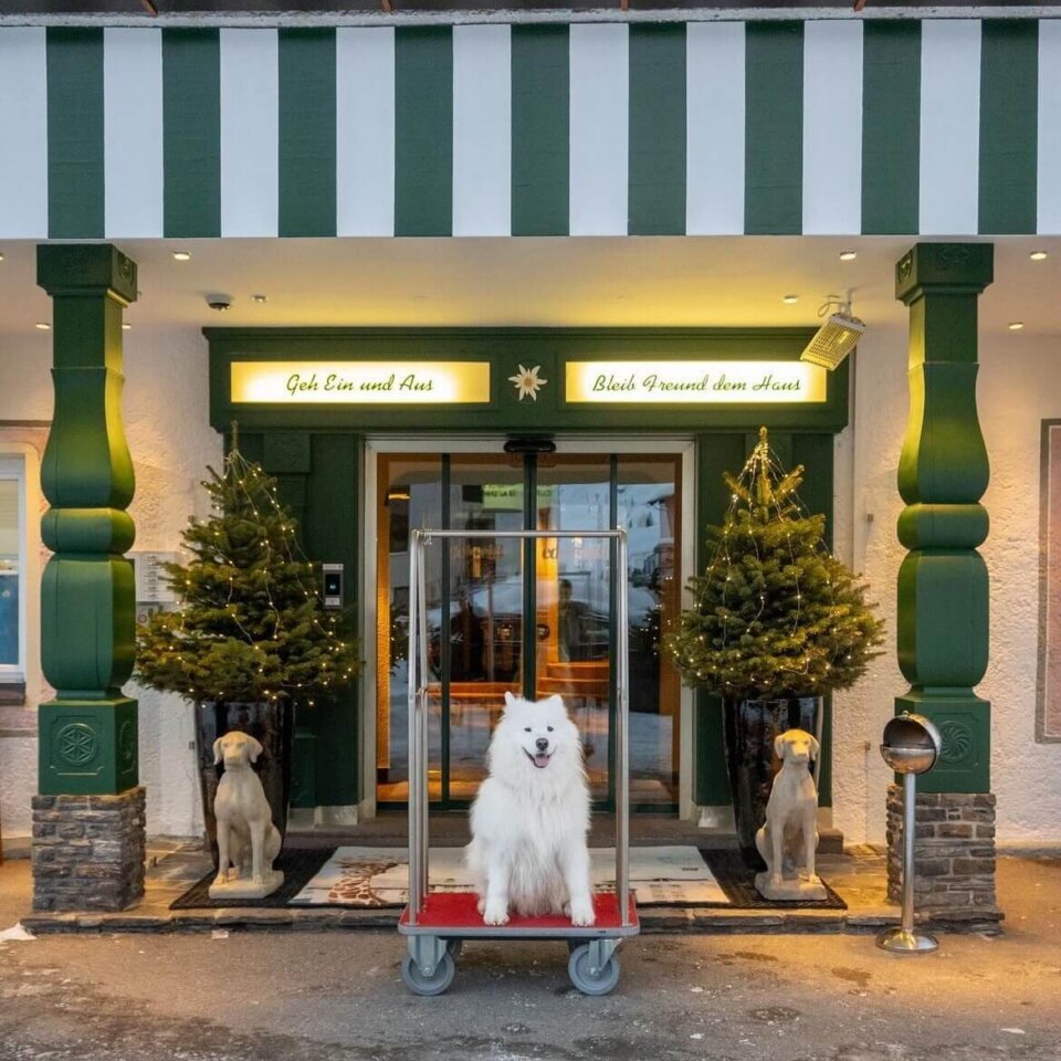 Eingang zum Hotel Edelweiss in Lech/Zürs mit einem lächelnden Hund auf einem Wagen und festlicher Dekoration.