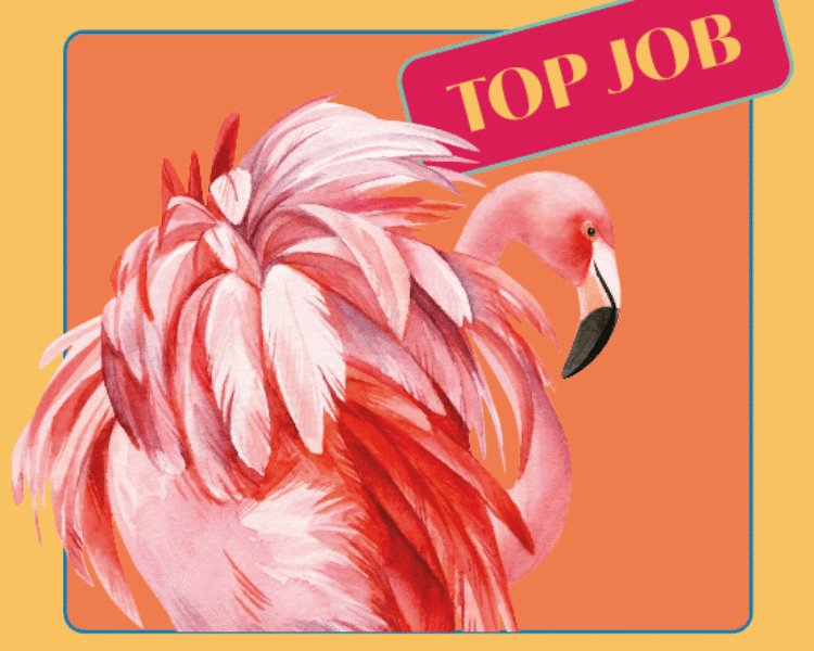 Farbiger Flamingo mit Text „Top Job“ und „Wir suchen dich“ zur Stellenanzeige im Hotel Edelweiss in Lech/Zürs.
